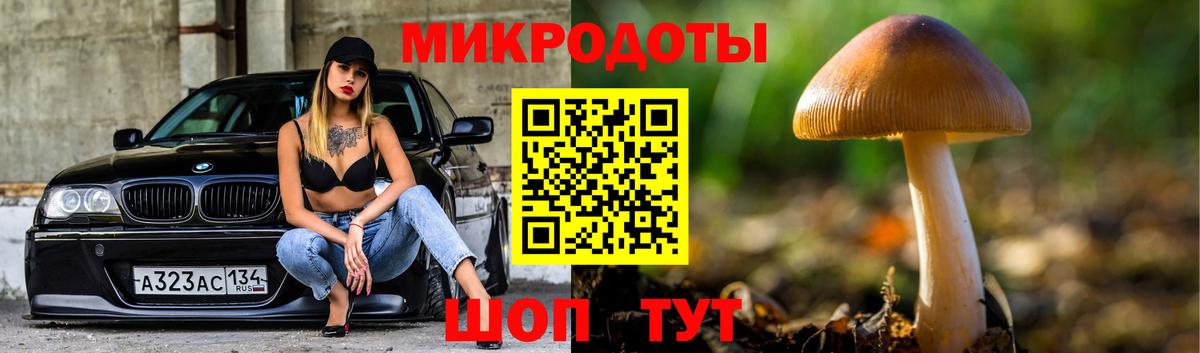 Галлюциногенные грибы Psilocybine cubensis Щёлково